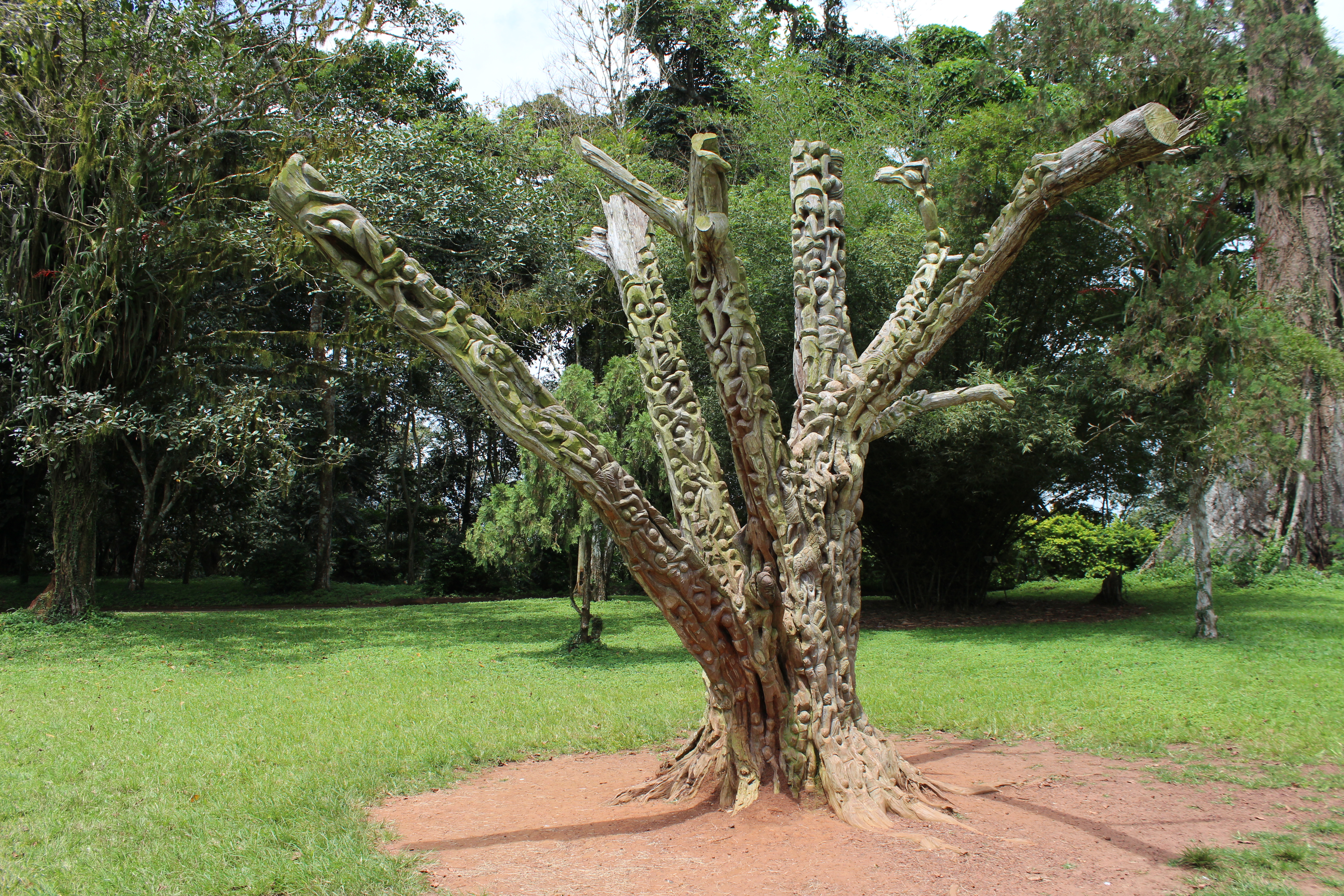 Aburi Botanischer Garten – Bild 4