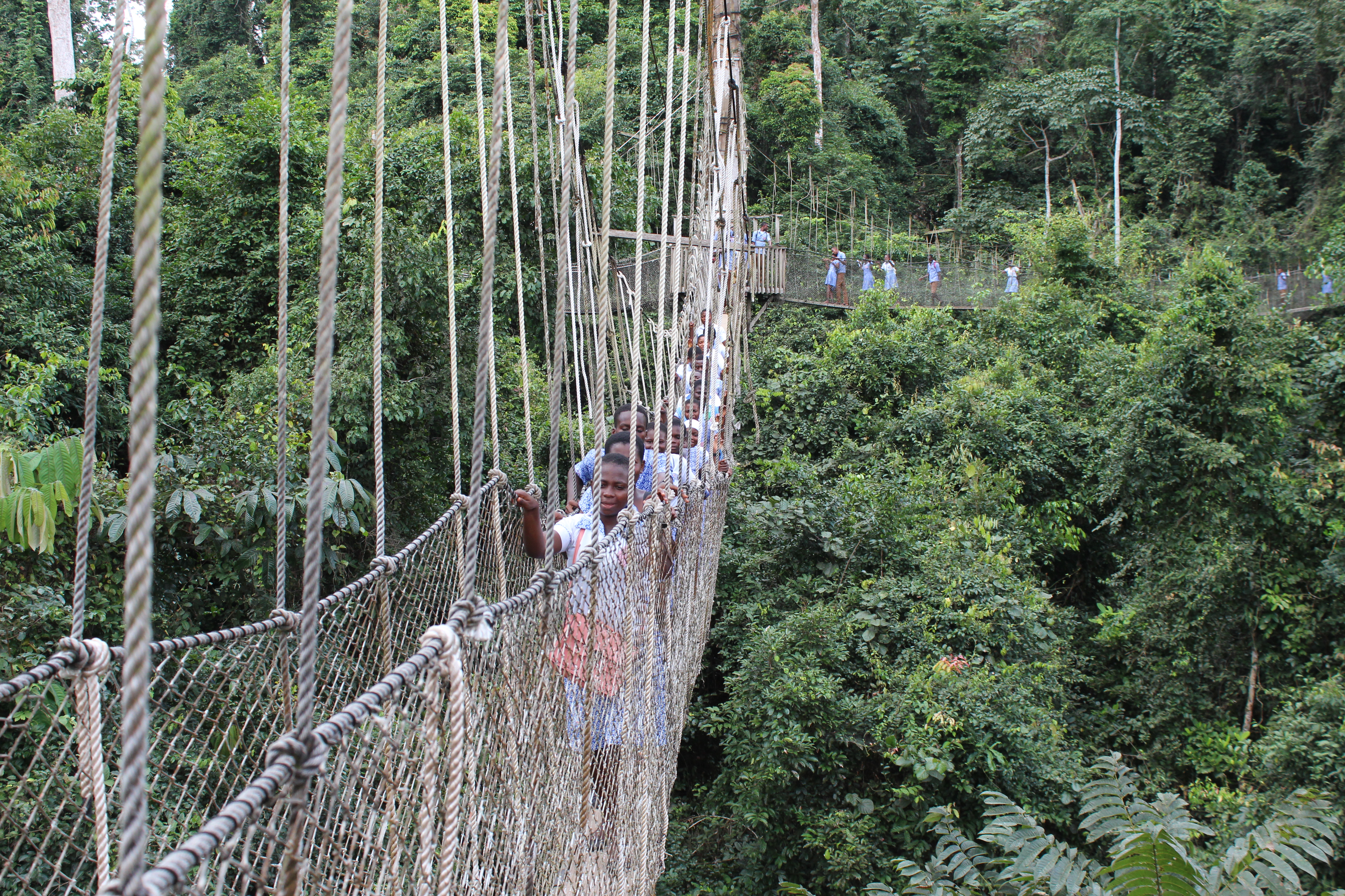 Kakum National Park – Bild 2