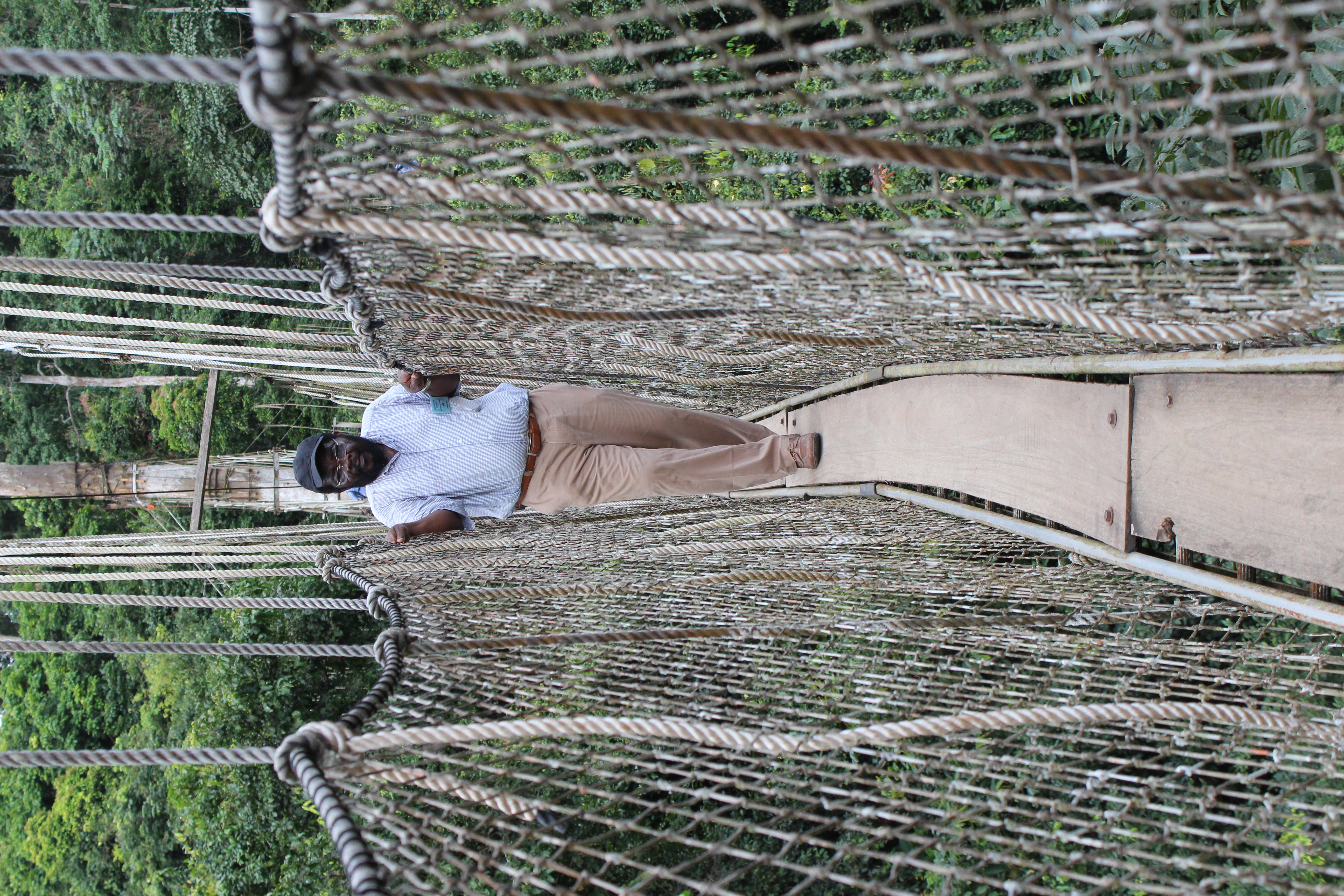 Kakum National Park – Bild 3