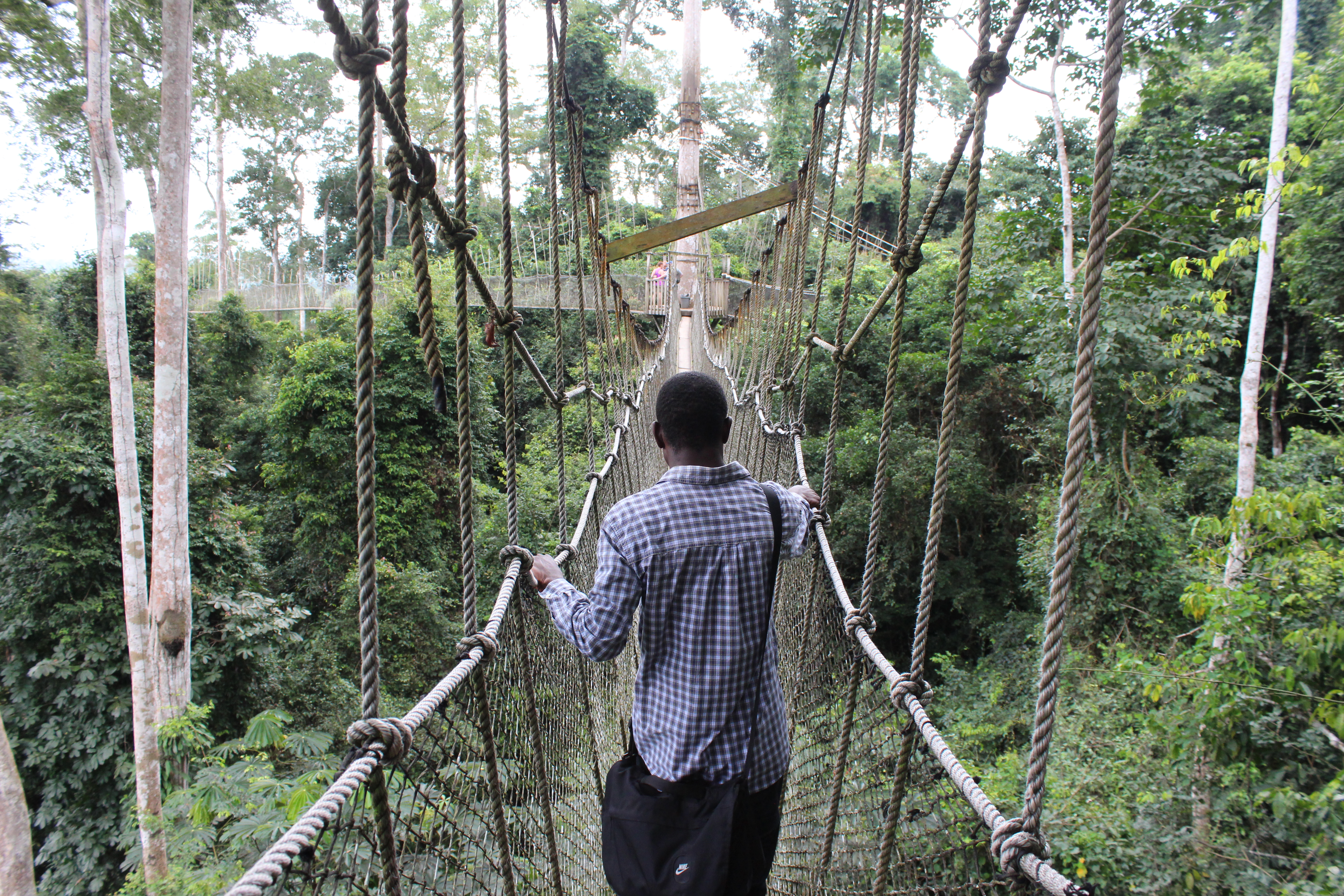 Kakum National Park – Bild 4
